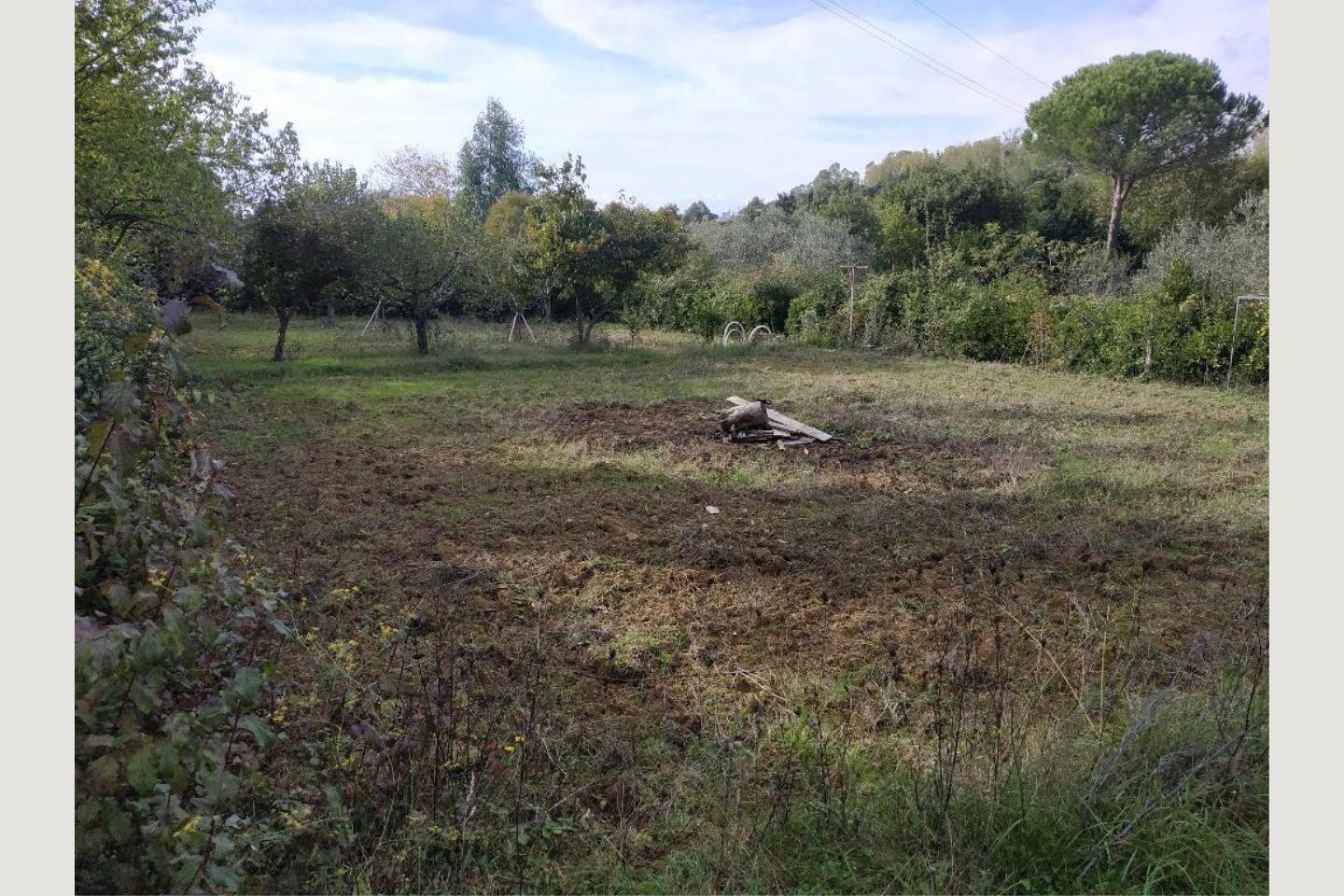 Terreno Agricolo in Vendita Livorno