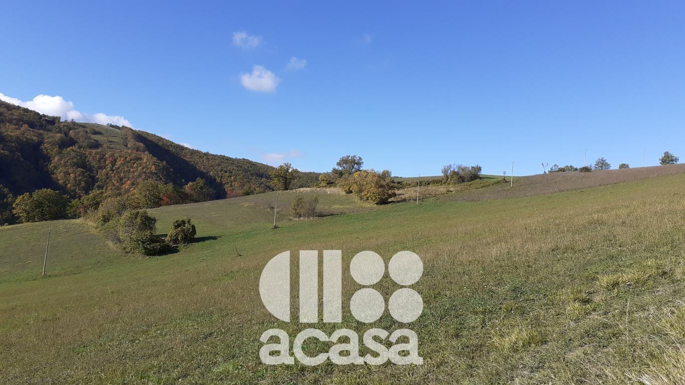 TERRENO AGRICOLO