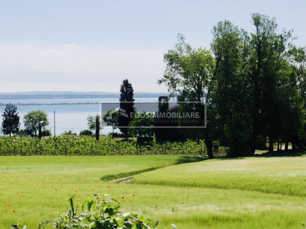 Terreno vista lago Residenziale/Agricolo con Uliveti e Vigneti