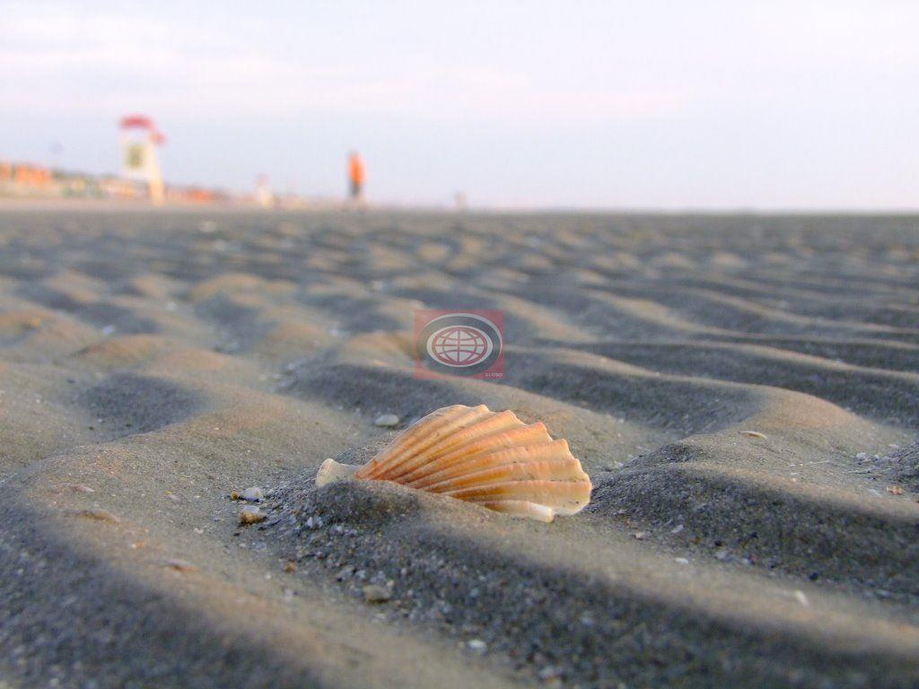 TAGLIATA di Cervia - terreno edificabile con Hotel su lotto di 1800 mq. circa