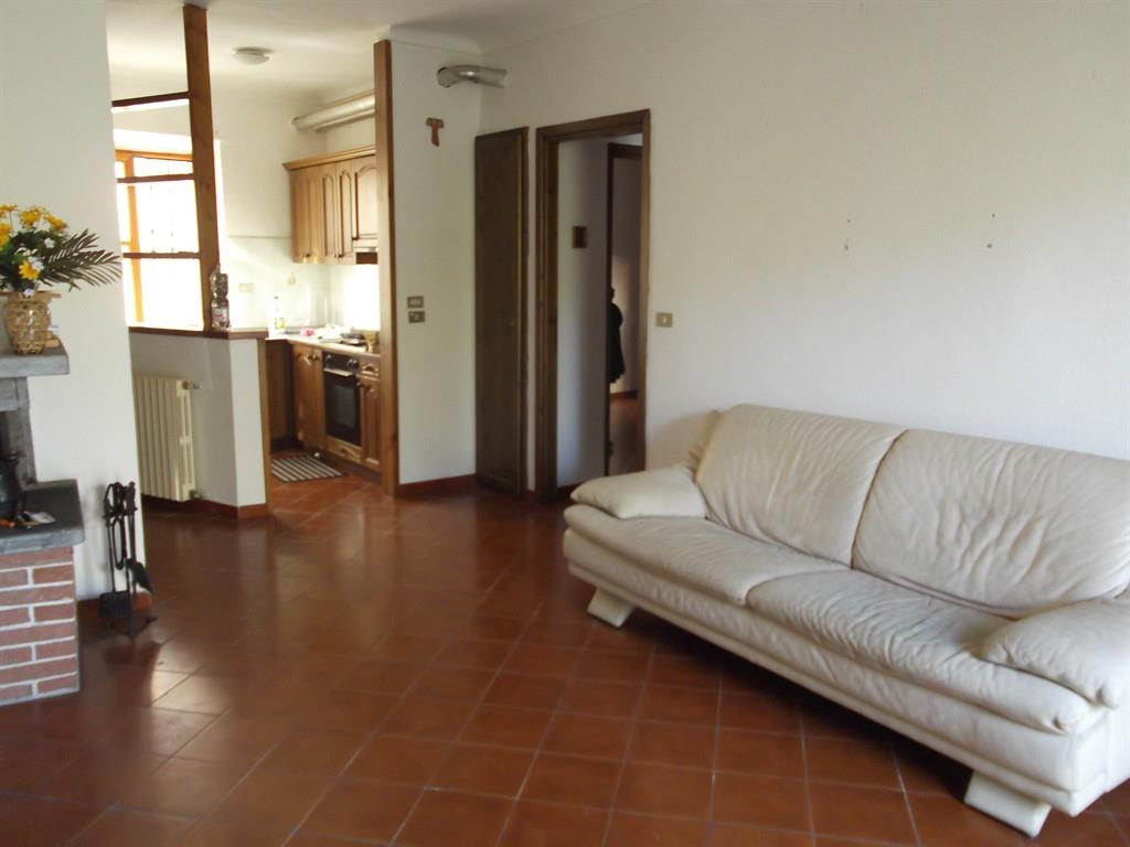 Frabosa Soprana (CN) appartamento ristrutturato con piccolo giardino