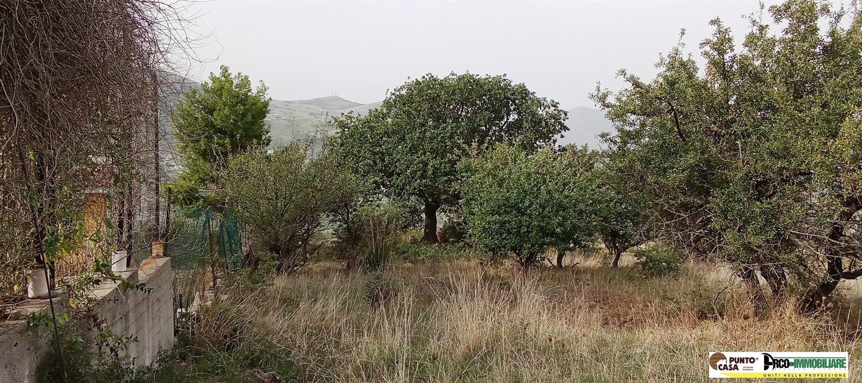 BOLOGNETTA TERRENO AGRICOLO