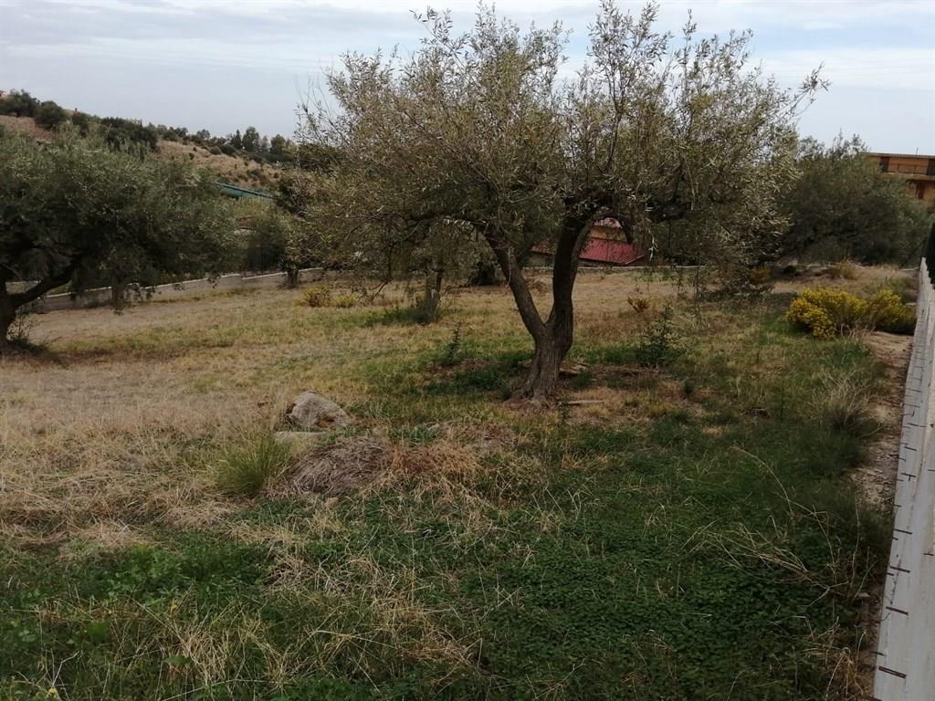 Terreno edificabile lottizzato e urbanizzato