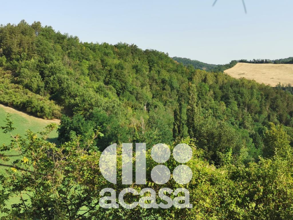 TERRENO AGRICOLO A BOSCO