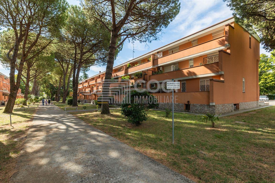ACCOGLIENTE APPARTAMENTO CON TERRAZZO IN PEDAGNA, IMOLA