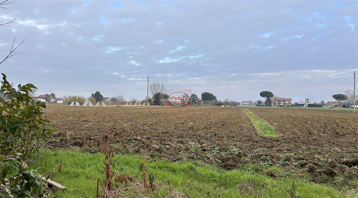 CESENA - CALABRINA - TERRENO AGRICOLO a seminativo di 40000 mq.
