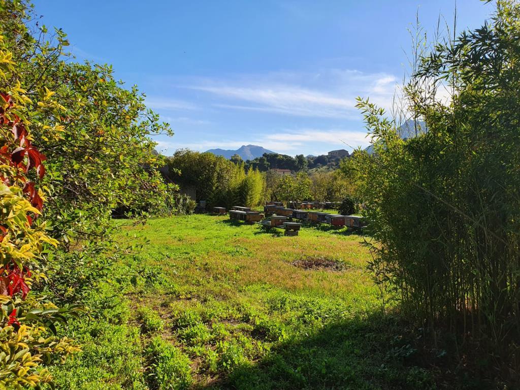 Caseggiato Rurale con 3 ettari e 1/2 di terreno a Monreale/Pezzingoli