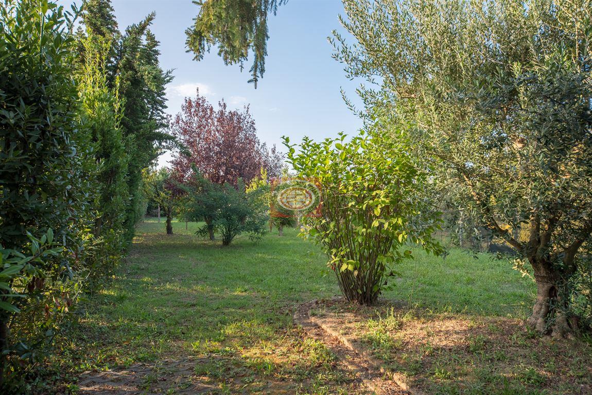 CESENATICO - Borella: villetta a schiera BUONO STATO con ampio parvo di 1300 mq