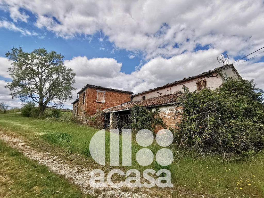 AZIENDA AGRICOLA CON TERRENO ED IMMOBILI - POSSIBILITA' DI ACCEDERE AL SUPERBONUS 110%