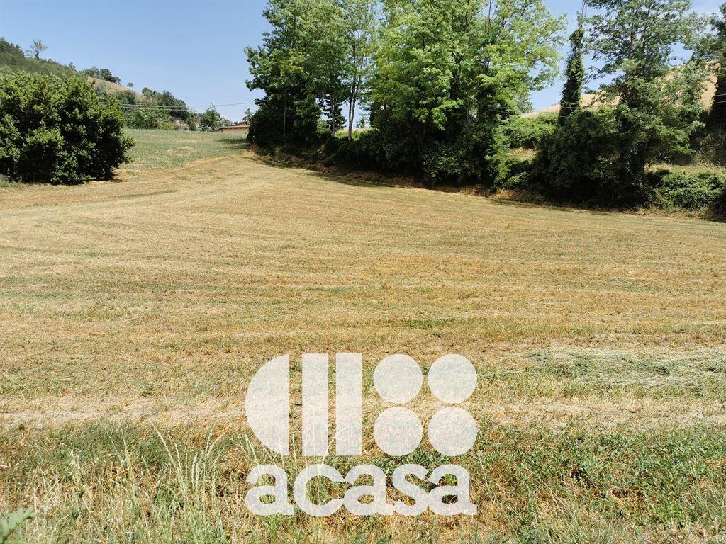 TERRENO AGRICOLO CON IMMOBILI DA RISTRUTTURARE