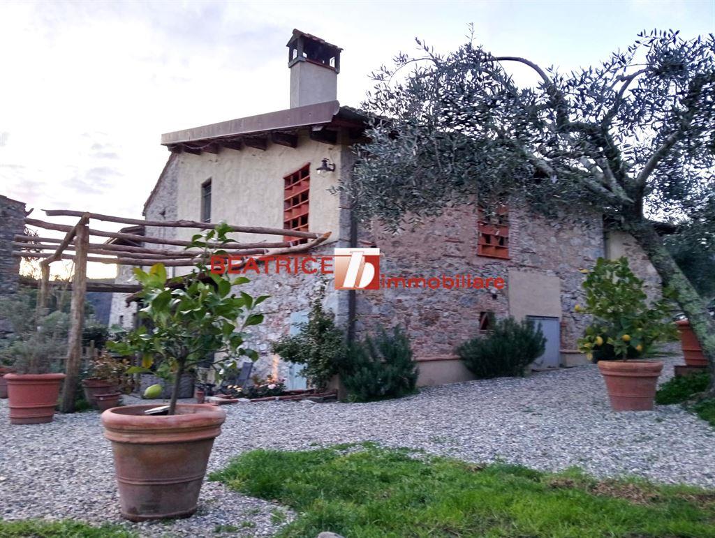 IN COLLINA, PISCINA IN MURATURA, GIARDINO