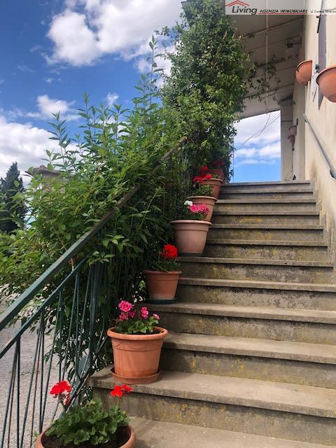 CRETE SENESI