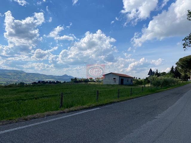 CESENA loc.Acquarola : terreno agricolo di oltre70.000 mq. con attrezzaia di 130 mq