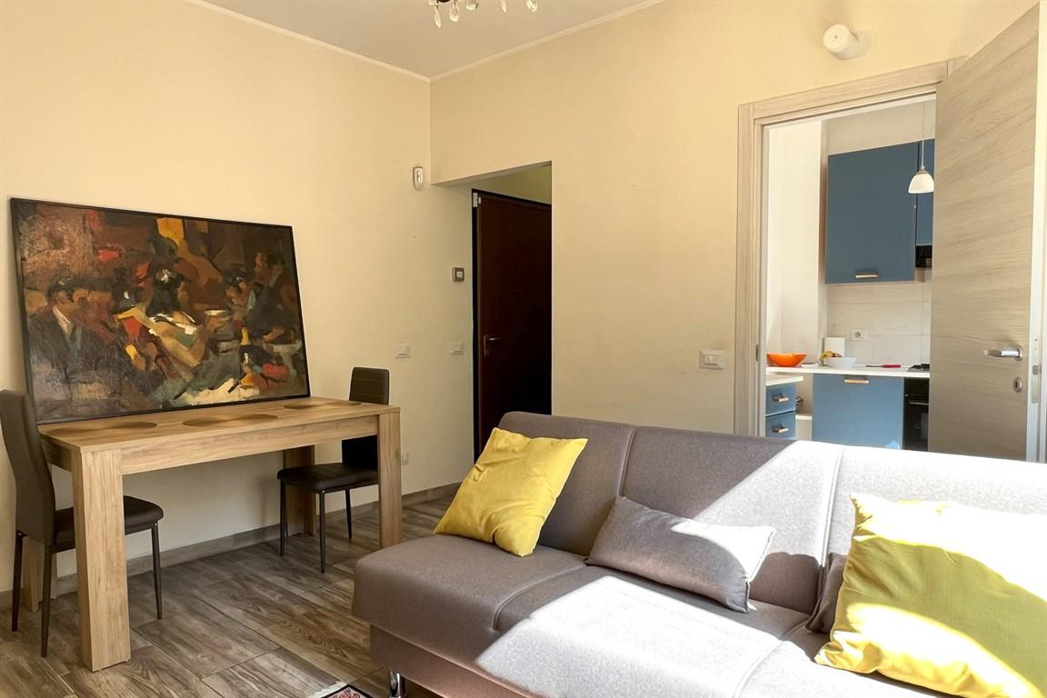 INTERESSANTE E AMPIO BILOCALE RISTRUTTURATO IN CENTRO PAESE