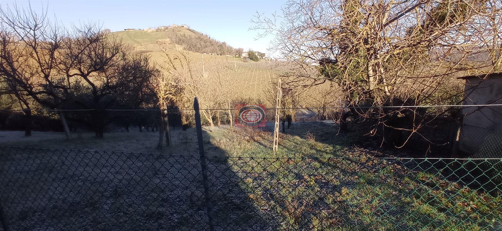 MERCATO SARACENO (CC152): casa abbinata ad un lato con 2 appartamenti, 2 garage  e terreno agricolo