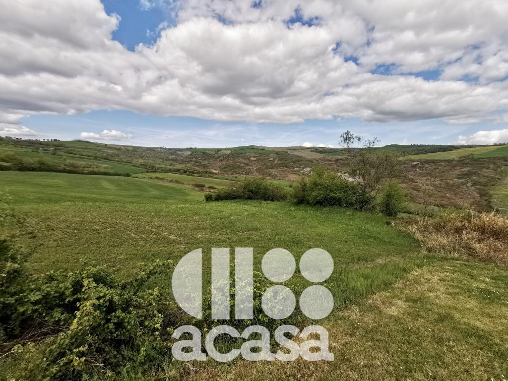 TERRENO AGRICOLO