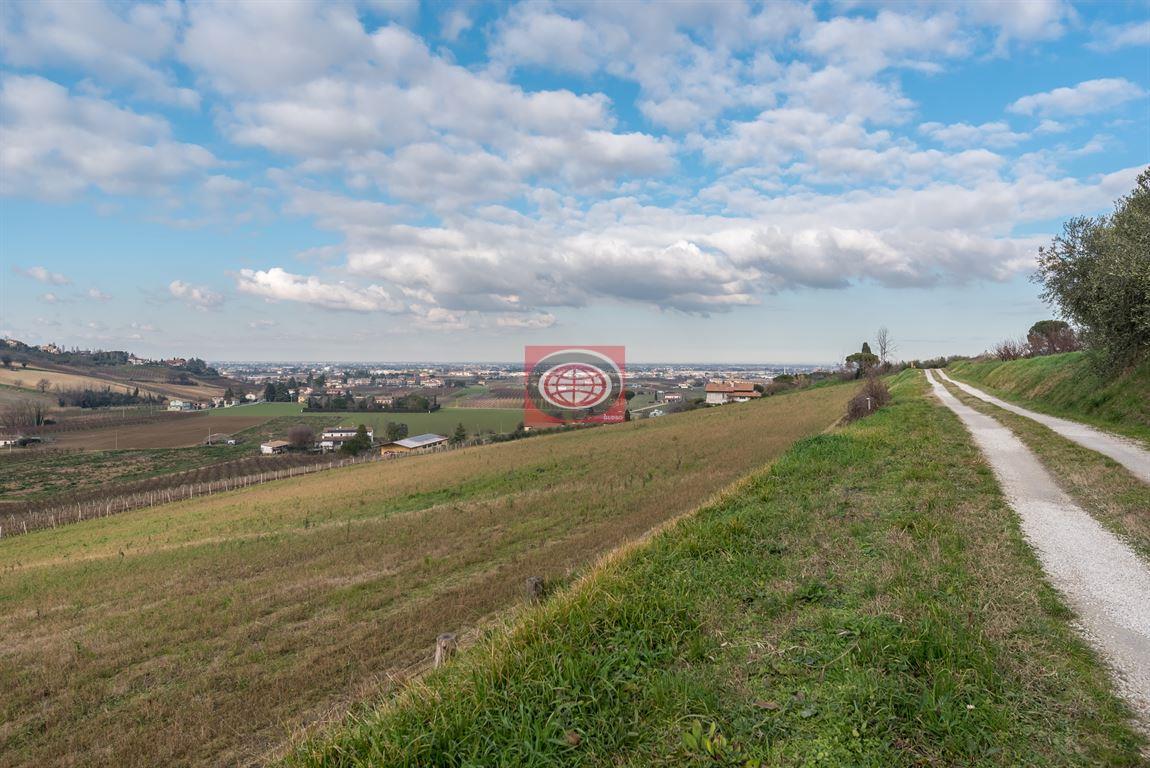 LONGIANO - primissime colline cesenati = Terreno Agricolo di 46.000 mq coltivato in parte a seminativo ed in parte ad ulivi (200 piante circa già in produzione)