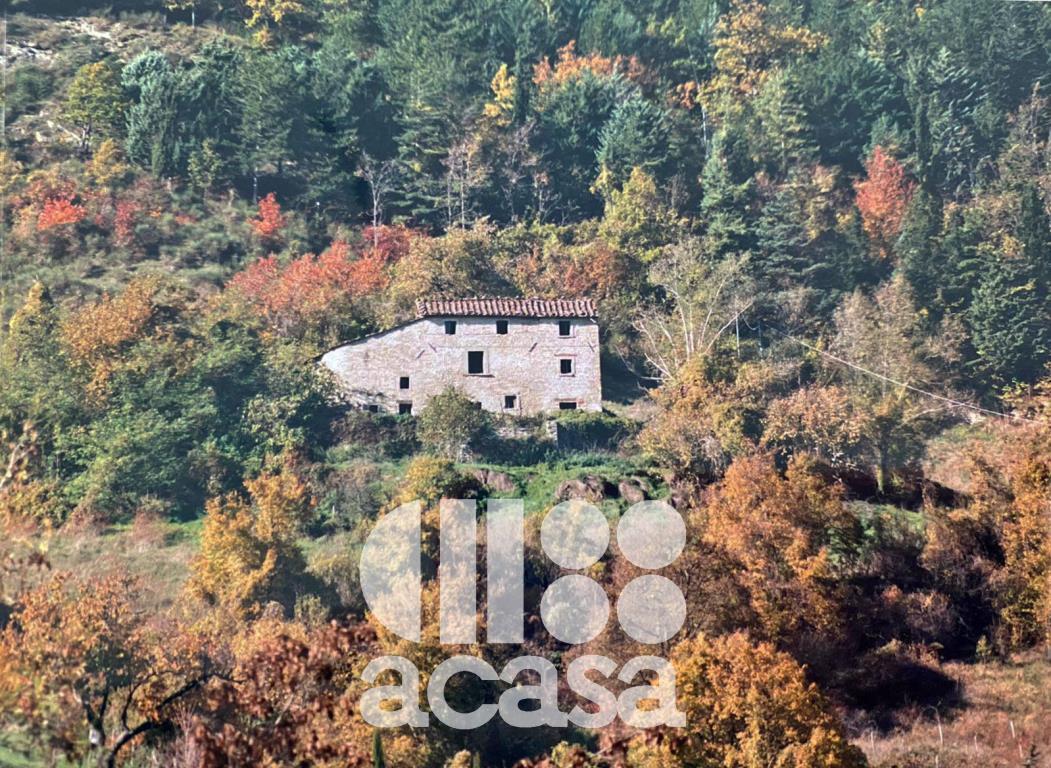 RUSTICO DA RISTRUTTURARE CON TERRENO