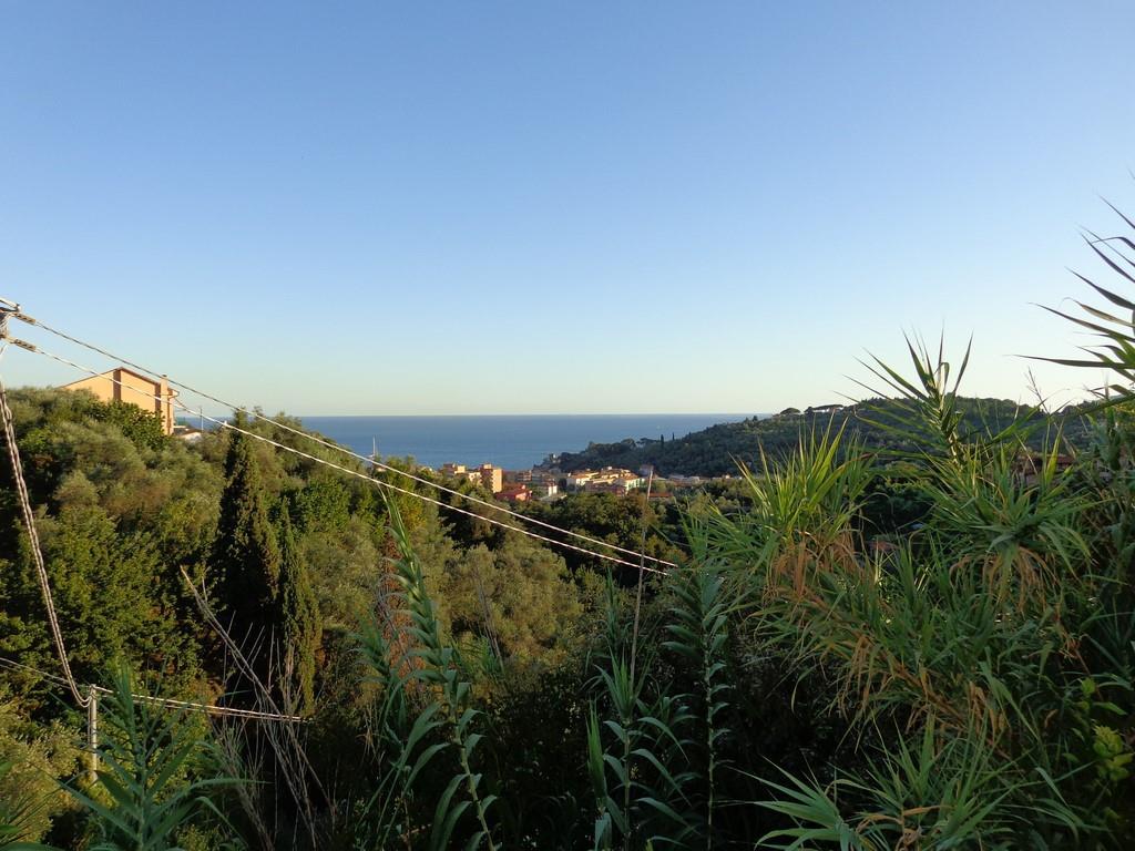 trilocale in ordine con terreno