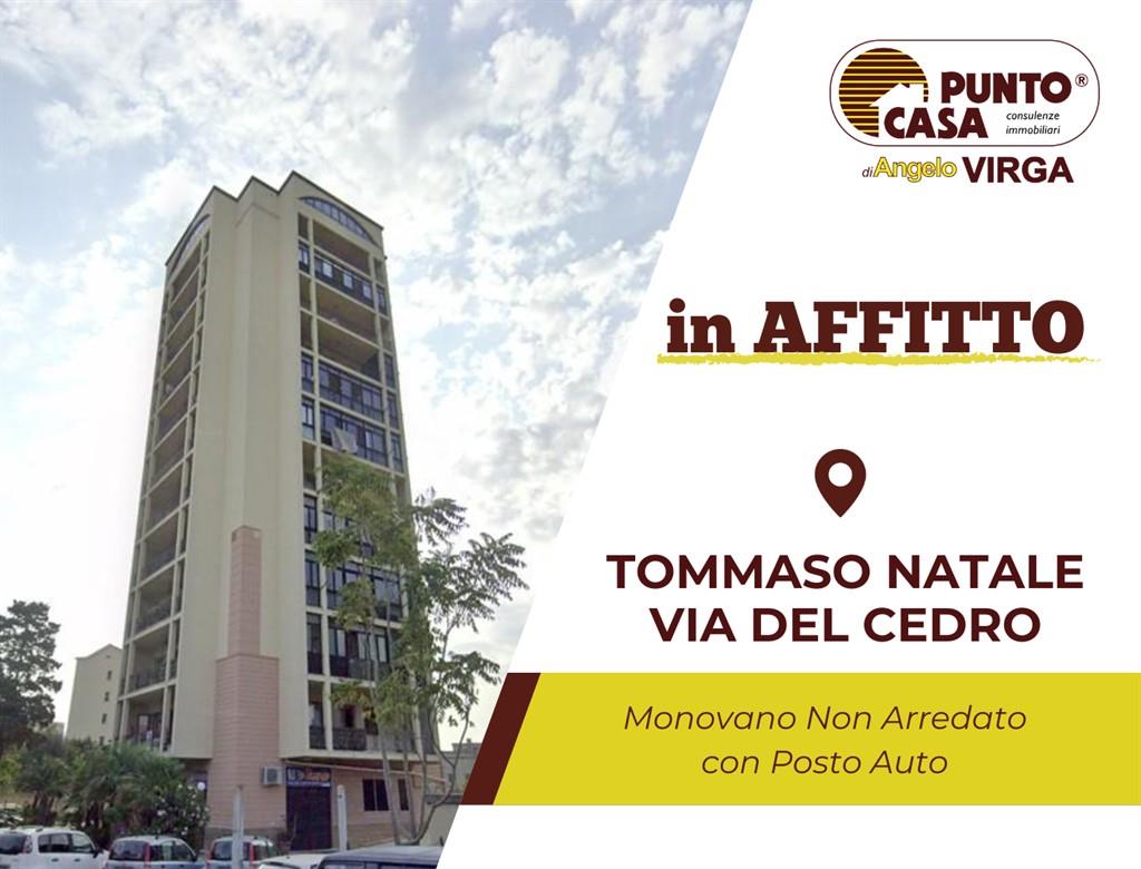 TOMMASO NATALE - DEL CEDRO | Panoramico Monovano al 12° Piano con posto auto