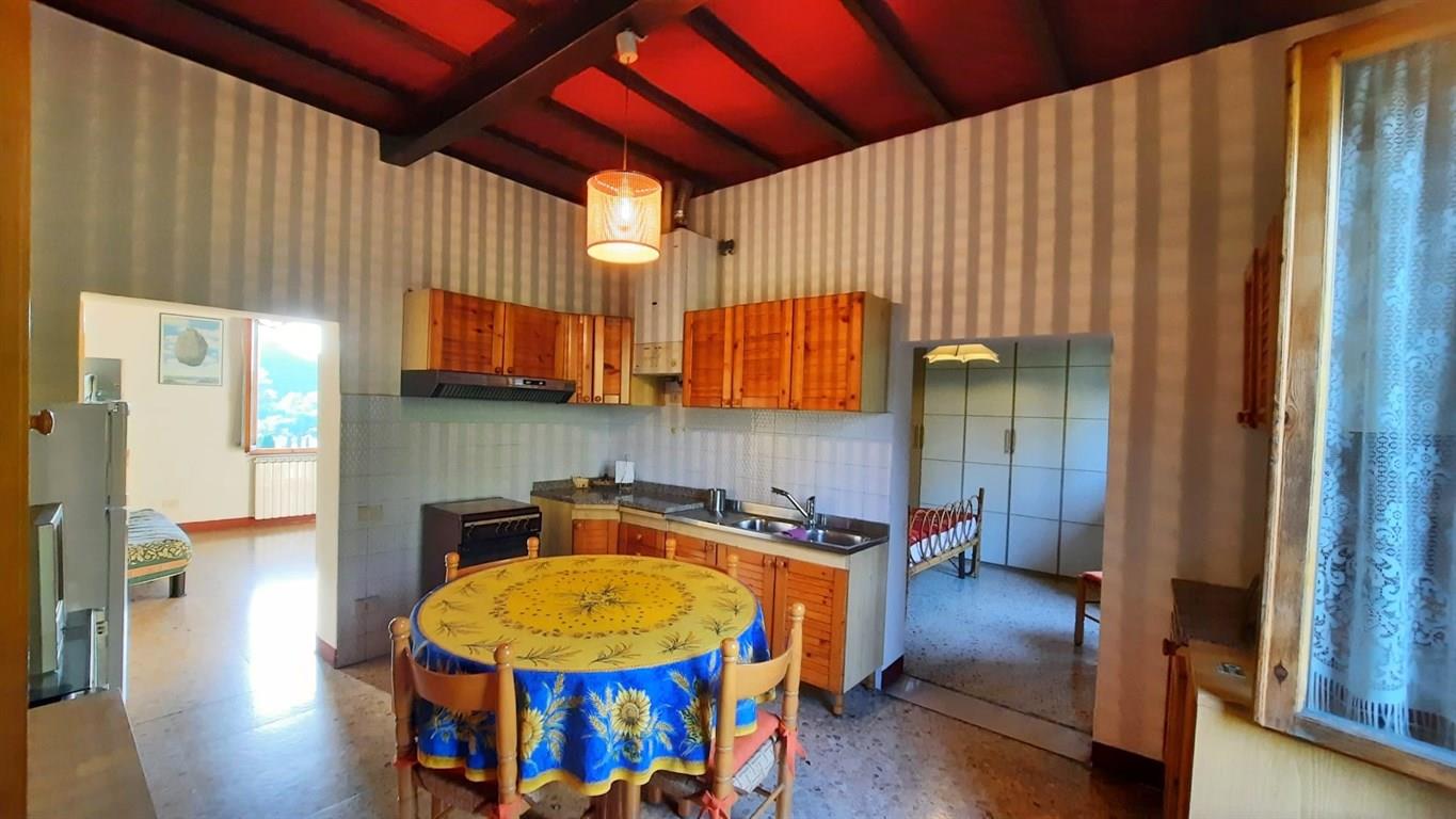 ZONA COLONNA SAN MARCO