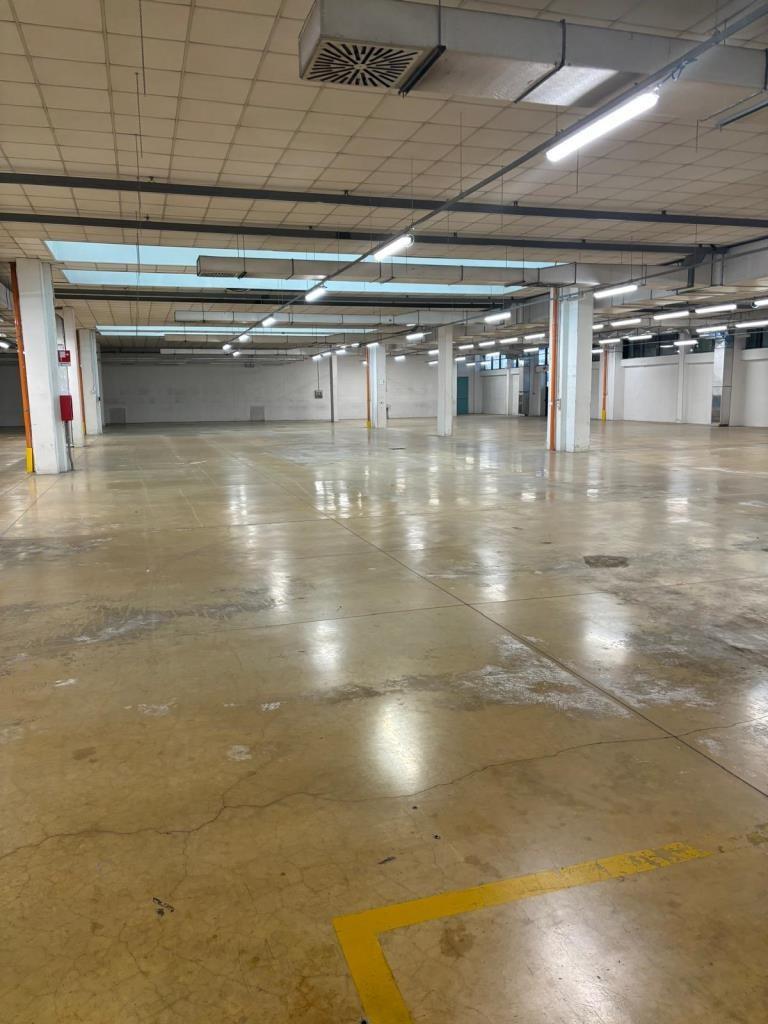 Casalecchio di Reno (BO) - Affittasi magazzino + uffici
