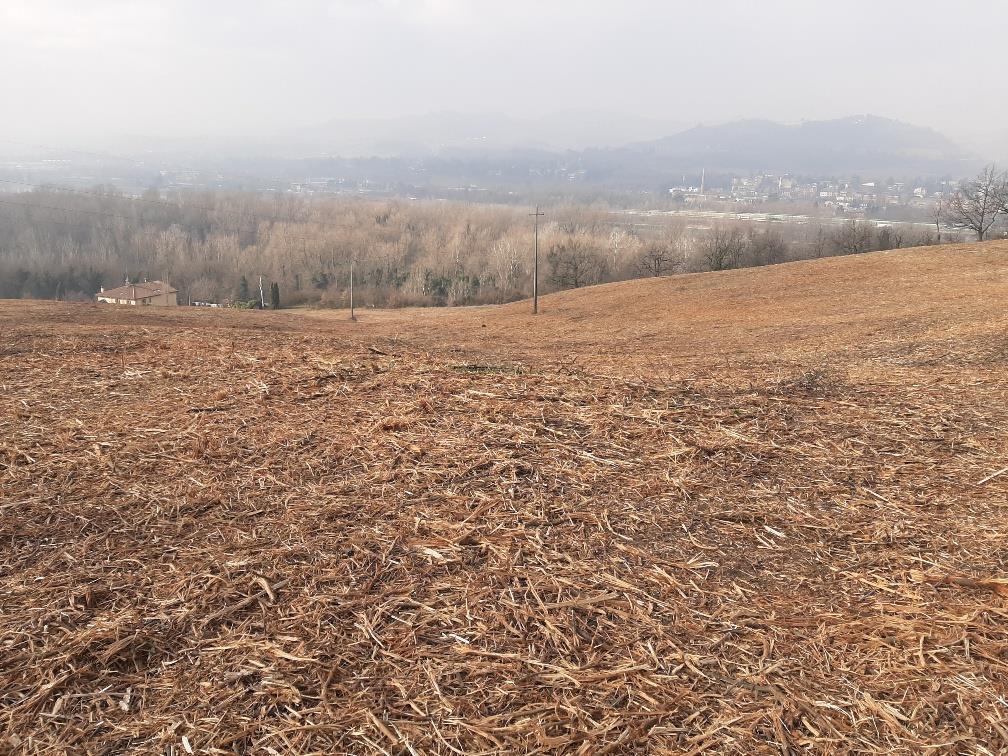 Vendesi terreno agricolo a Bologna