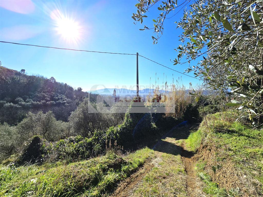 TERRENO AGRICOLO CON RICOVERO ATTREZZI