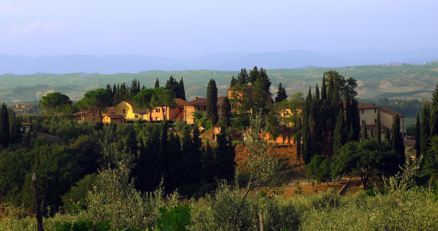 Azienda agricola a 3 km da San Gimignano (SI)