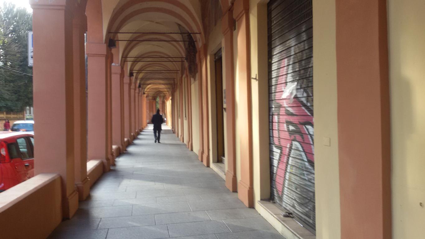 AFFITASI NEGOZIO - SARAGOZZA (BO)