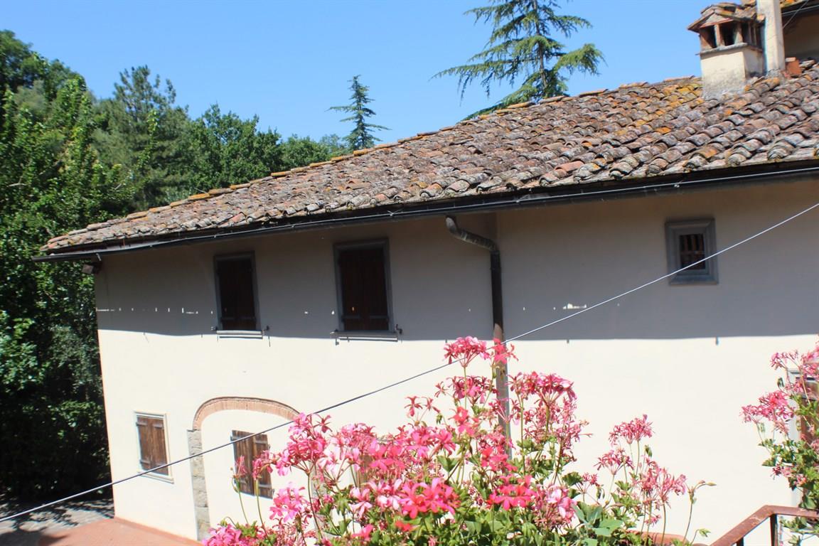 MASSETO - RUFINA -FIRENZE VENDESI COLONICA CON SUPER AZIENDA AGRICOLA
