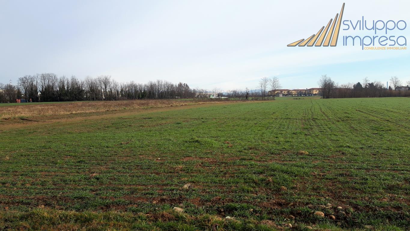 TERRENO INDUSTRIALE EDIFICABILE A TREZZANO ROSA IN VENDITA