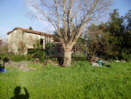 Casa Colonica 10 vani a Sarzana