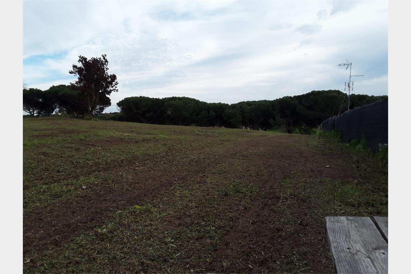 Terreno Agricolo in Vendita Roma