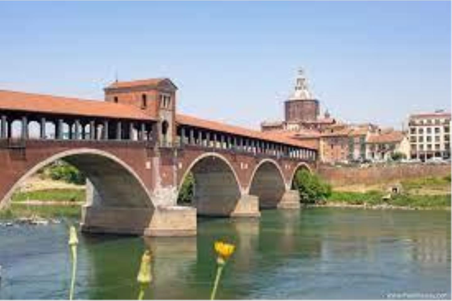 Negozio in Vendita Pavia