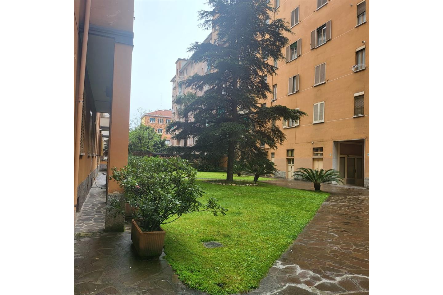 Appartamento in Affitto Milano